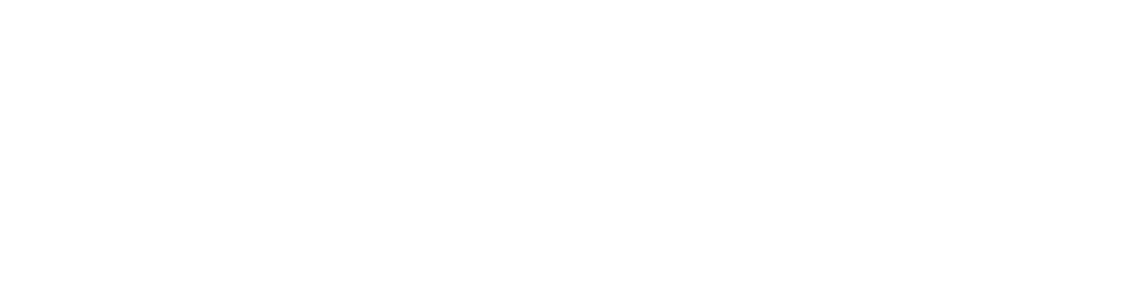 Finanziato dall'Unione Europea