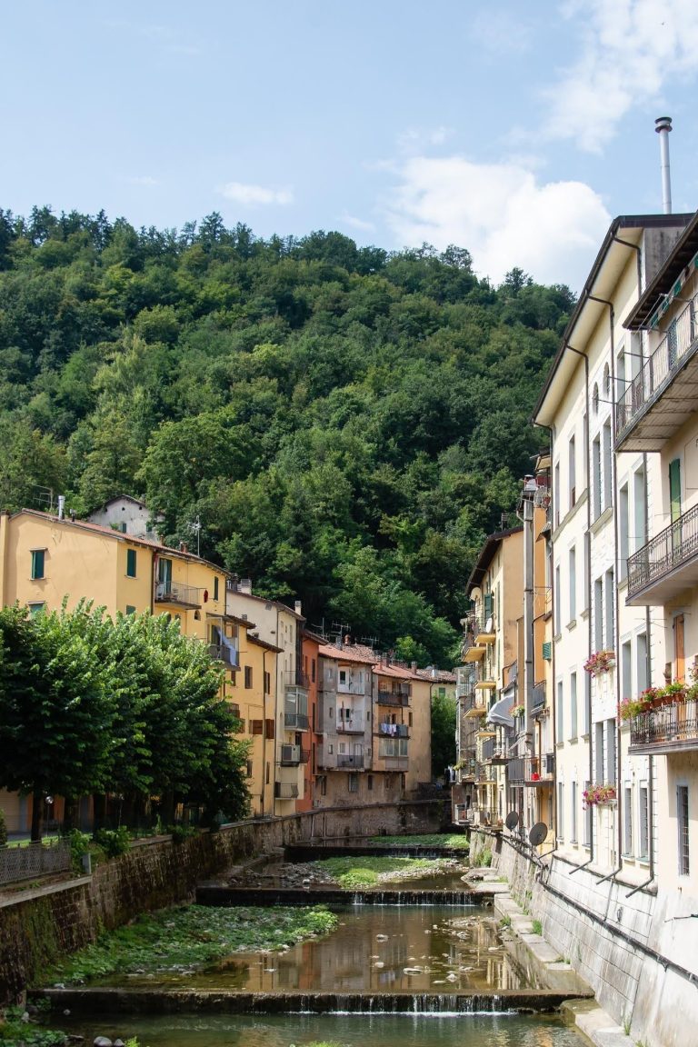 Foresterie e ritiri per team building